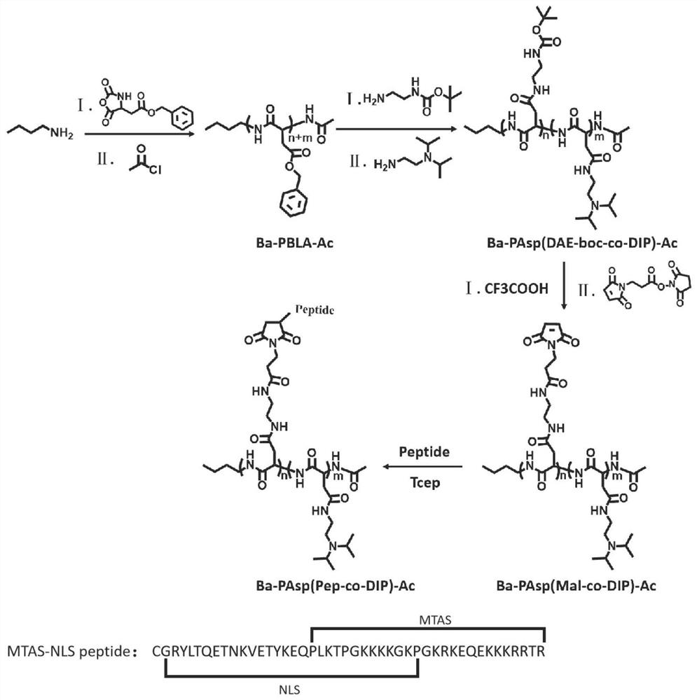 A kind of plasmid carrying nanoparticle and preparation method for preventing and treating influenza virus