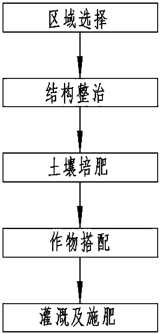 Reconstruction structure and reconstruction remediation and utilization method for desertification land