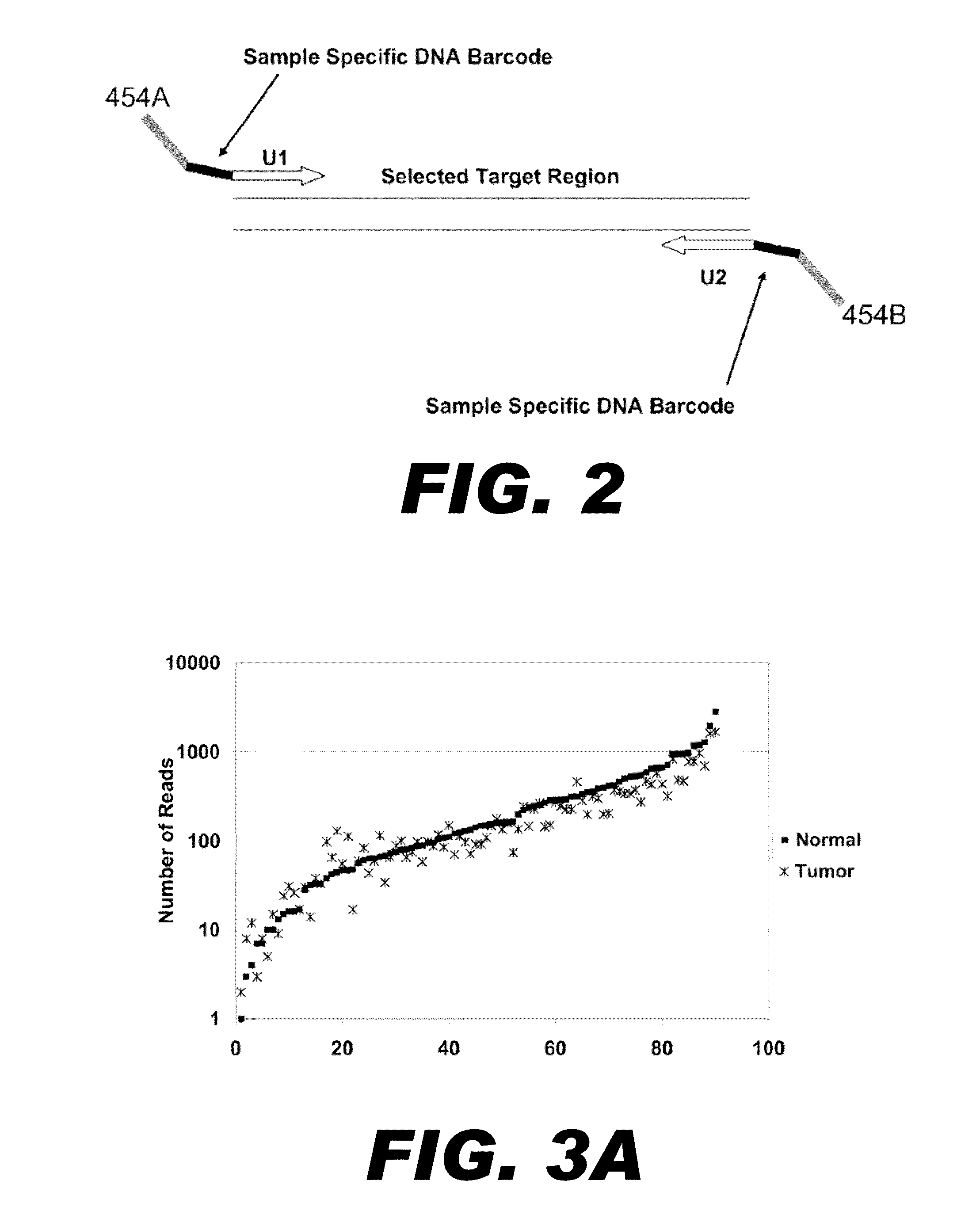 Method for multiplexed nucleic acid patch polymerase chain reaction