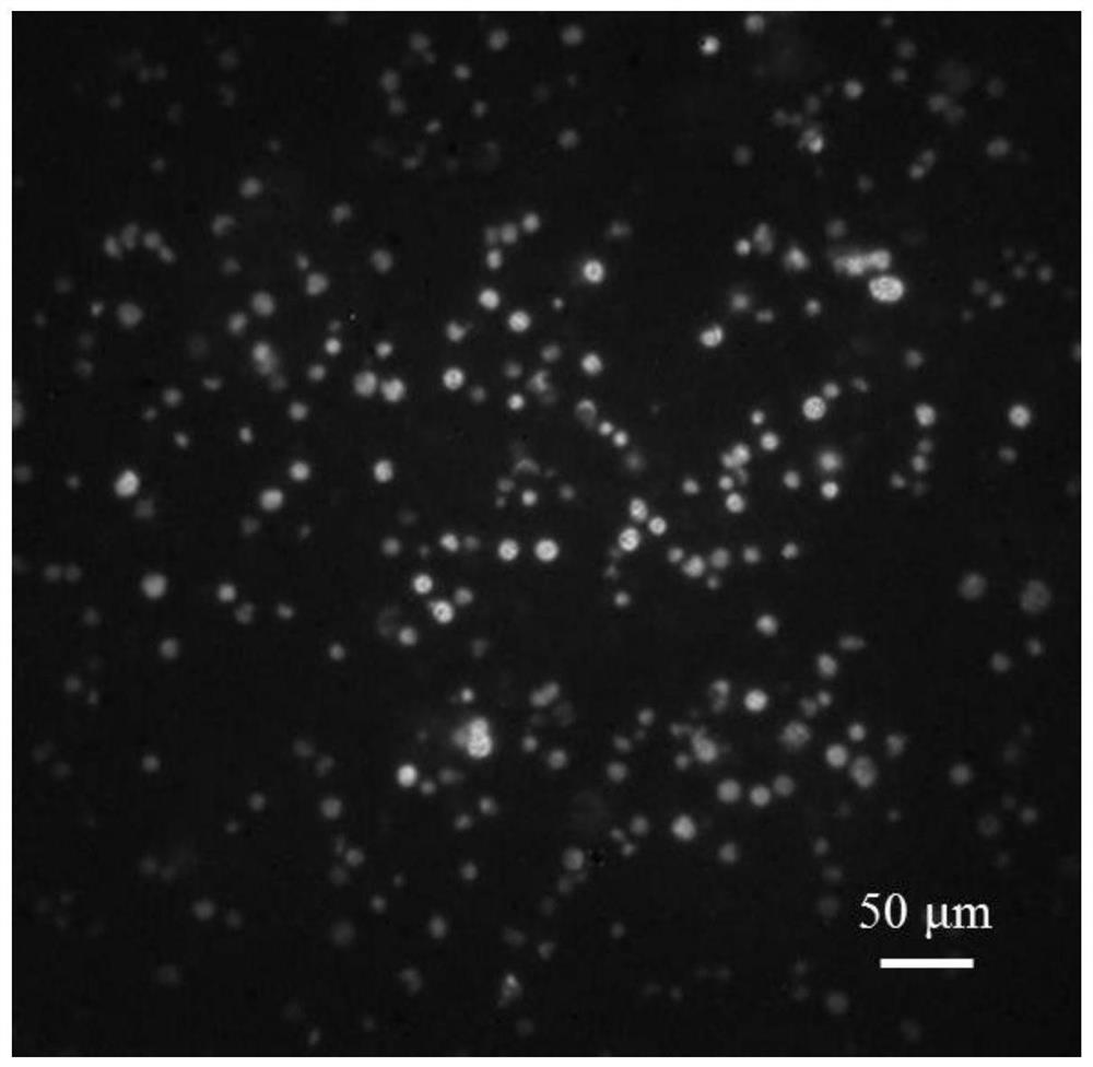 A new application of near-infrared region II quantum dots containing selenium