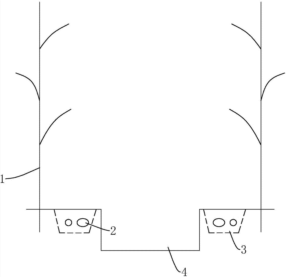 Fritillaria cirrhosa planting method