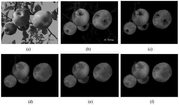 Fruit, branch and leaf region obtaining method of red apple images in garden