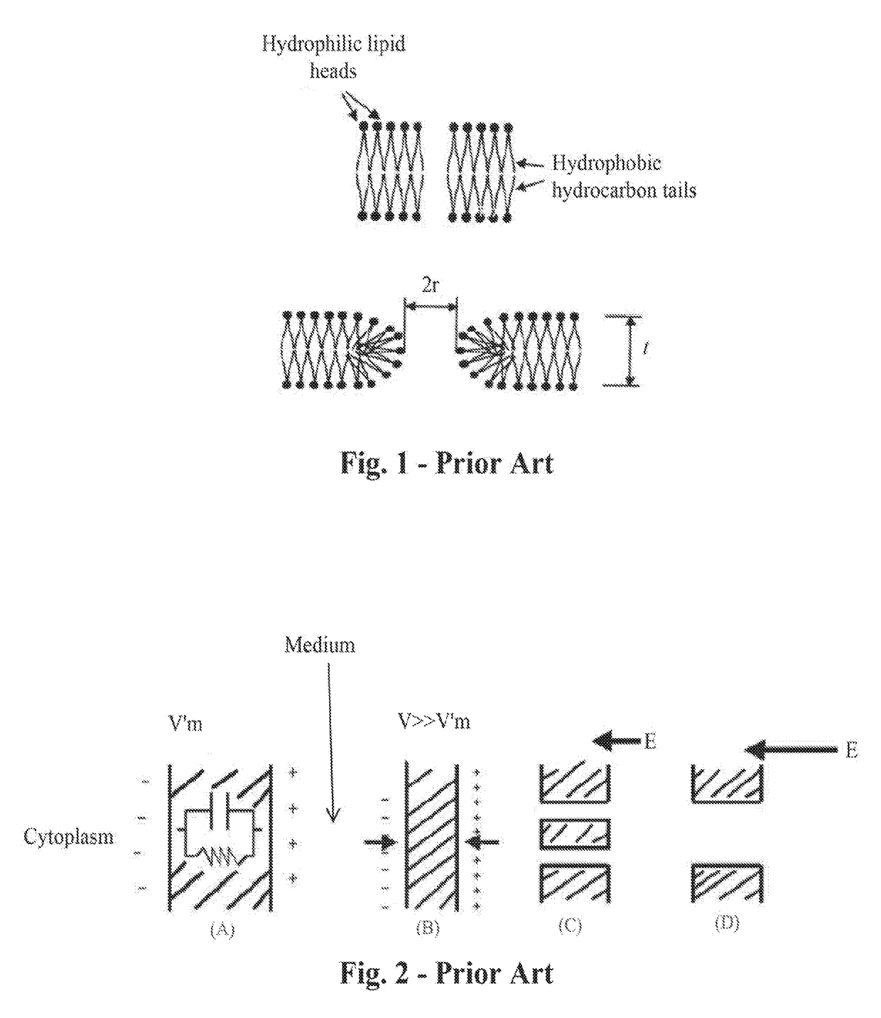 Radio-frequency electrical membrane breakdown for the treatment of benign prostatic hyperplasia