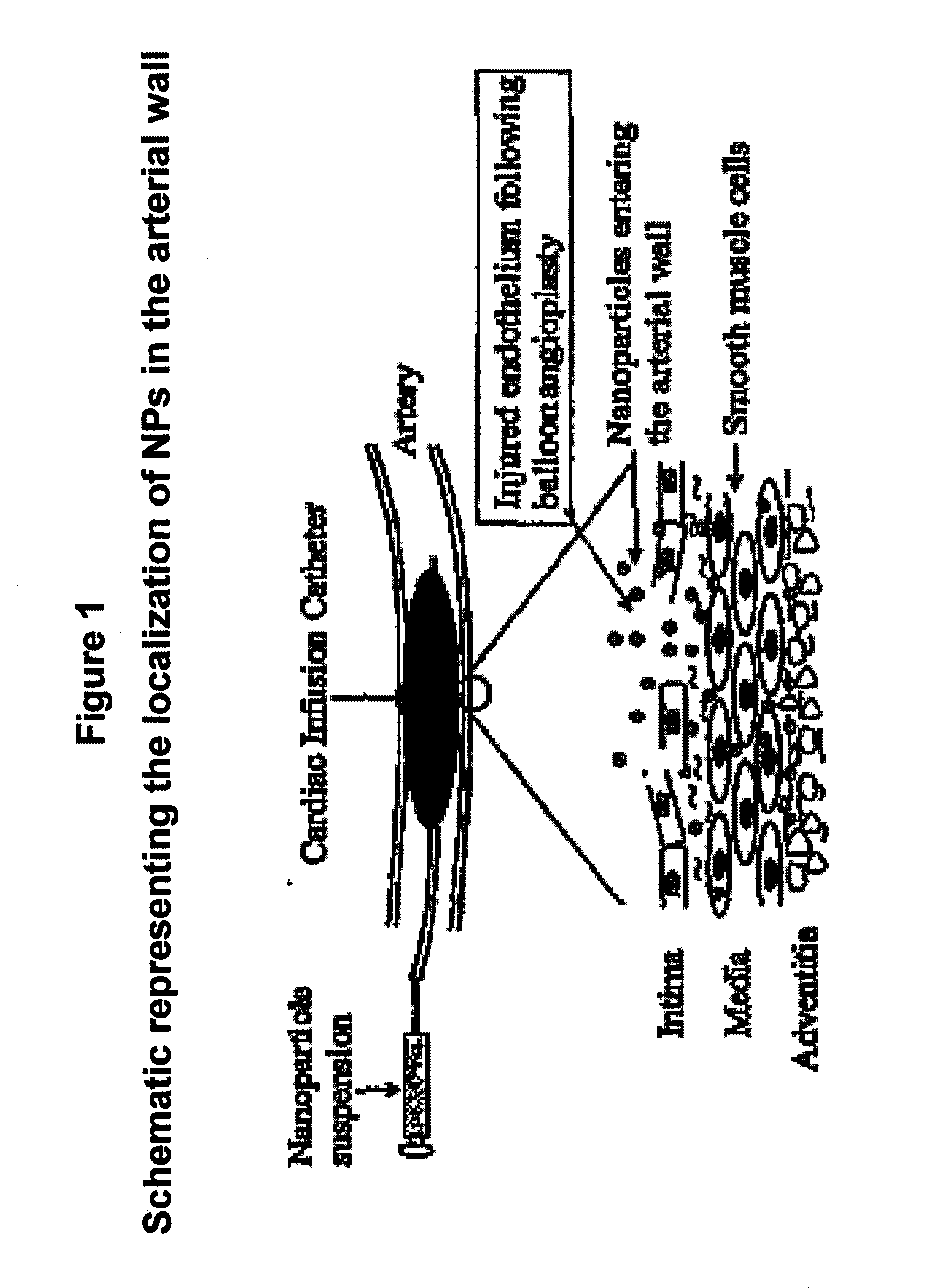 Apoptosis-Modulating Protein Therapy for Proliferative Disorders and Nanoparticles Containing the Same