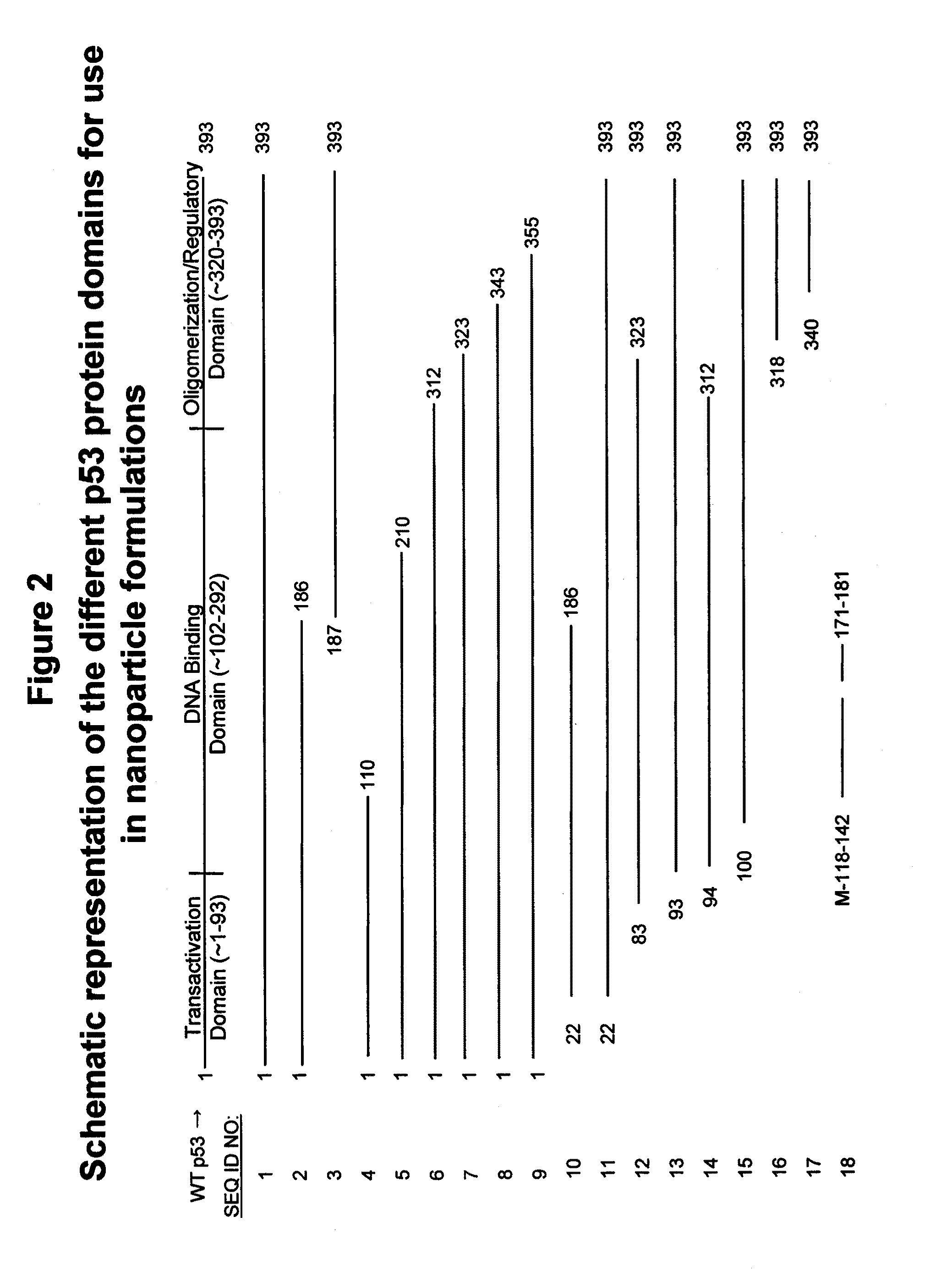 Apoptosis-Modulating Protein Therapy for Proliferative Disorders and Nanoparticles Containing the Same