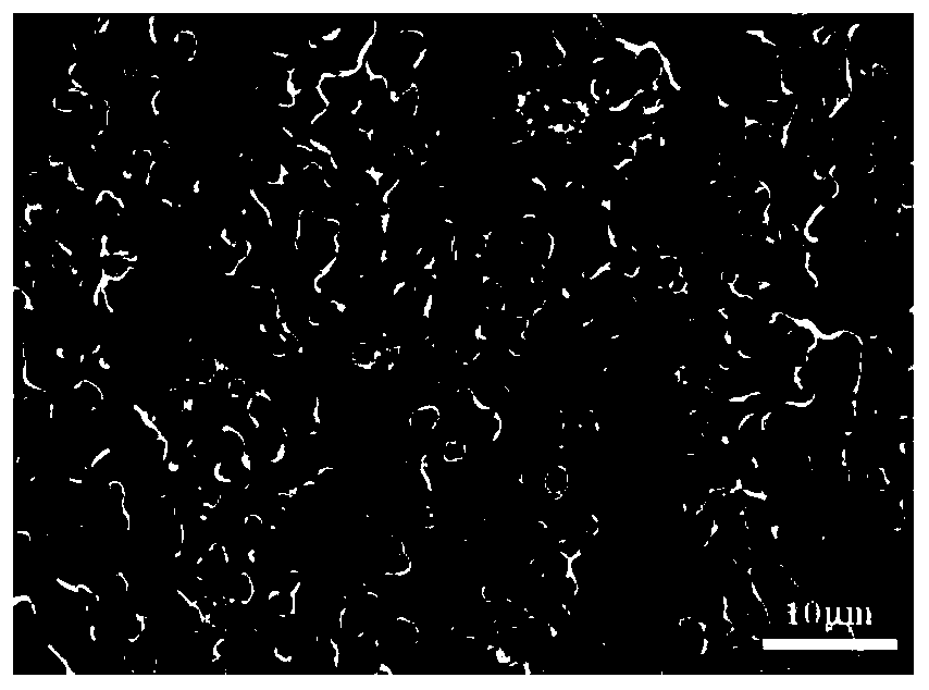 Bone repair film and preparation method thereof