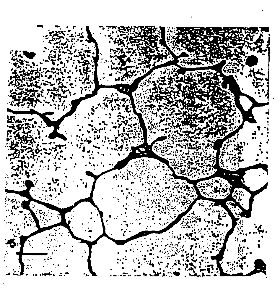 Methods and compositions for the treatment and prevention of lung disease