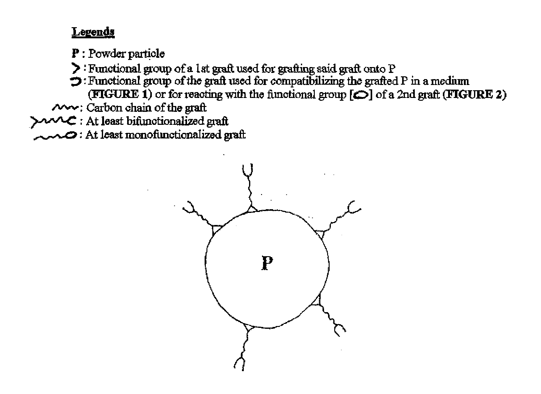 Grafting onto a polyamide powder by gamma-irradiation