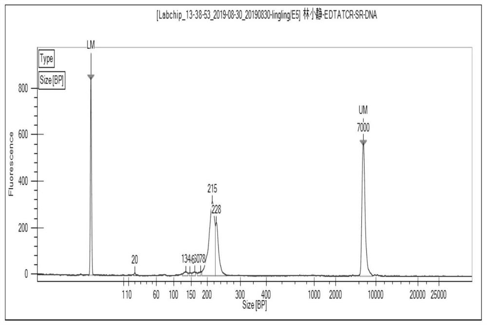 Primer group for constructing CDR3 region high-throughput sequencing library of human TCR[beta] and application of primer group