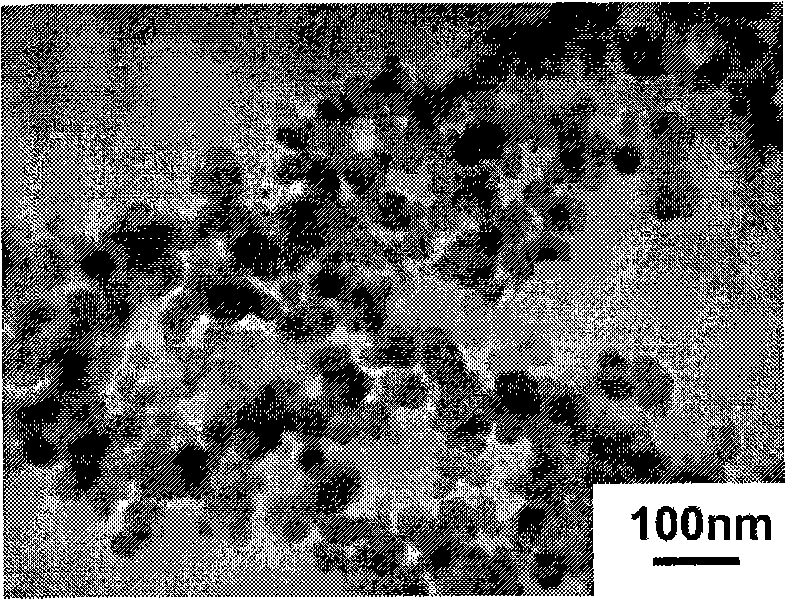 Magnetic spinel structure ferrite nano particle and preparation thereof