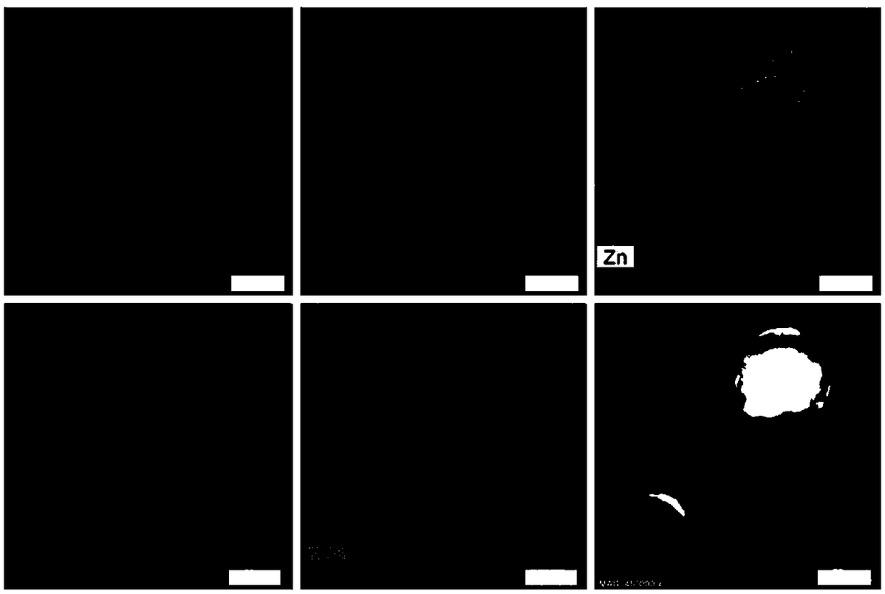 Porphyrin nanocomposite with tumor targeting function, preparation method and application thereof