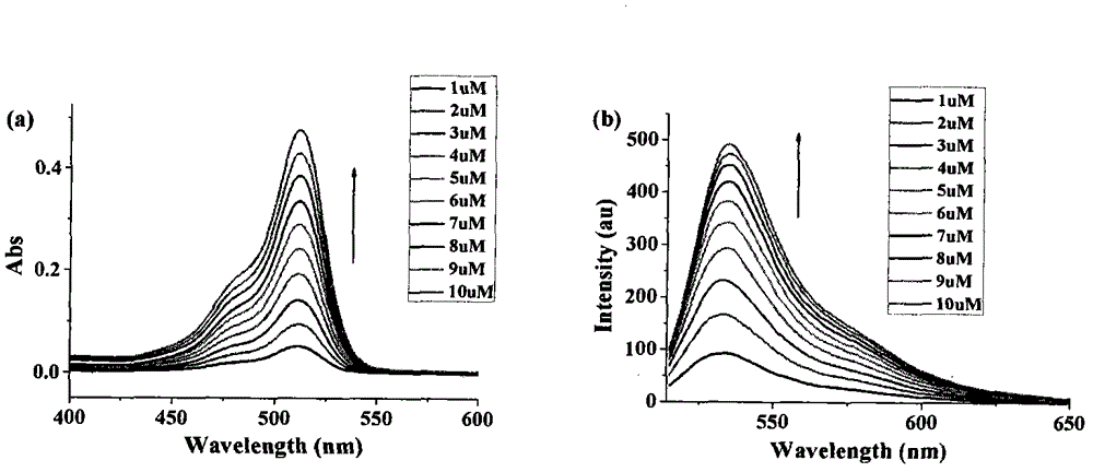 Dihalofluorescein derivative and application thereof