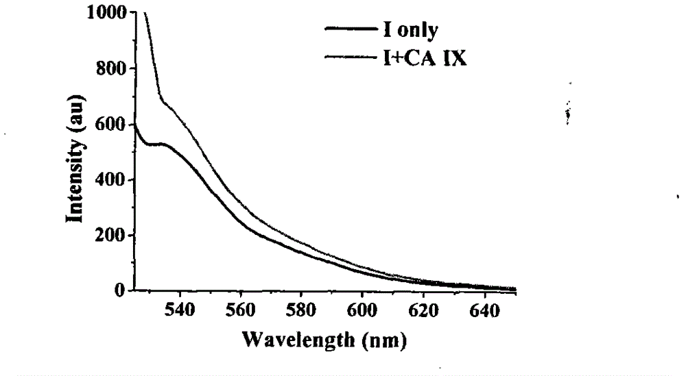 Dihalofluorescein derivative and application thereof