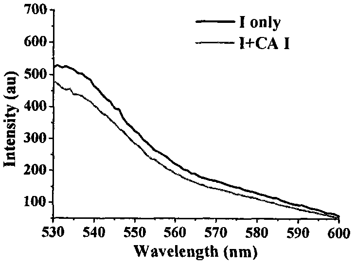 Dihalofluorescein derivative and application thereof