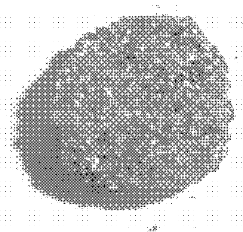 Dipped anti-oxidation fluid capable of improving high temperature anti-oxidation performance of graphite products and application method thereof