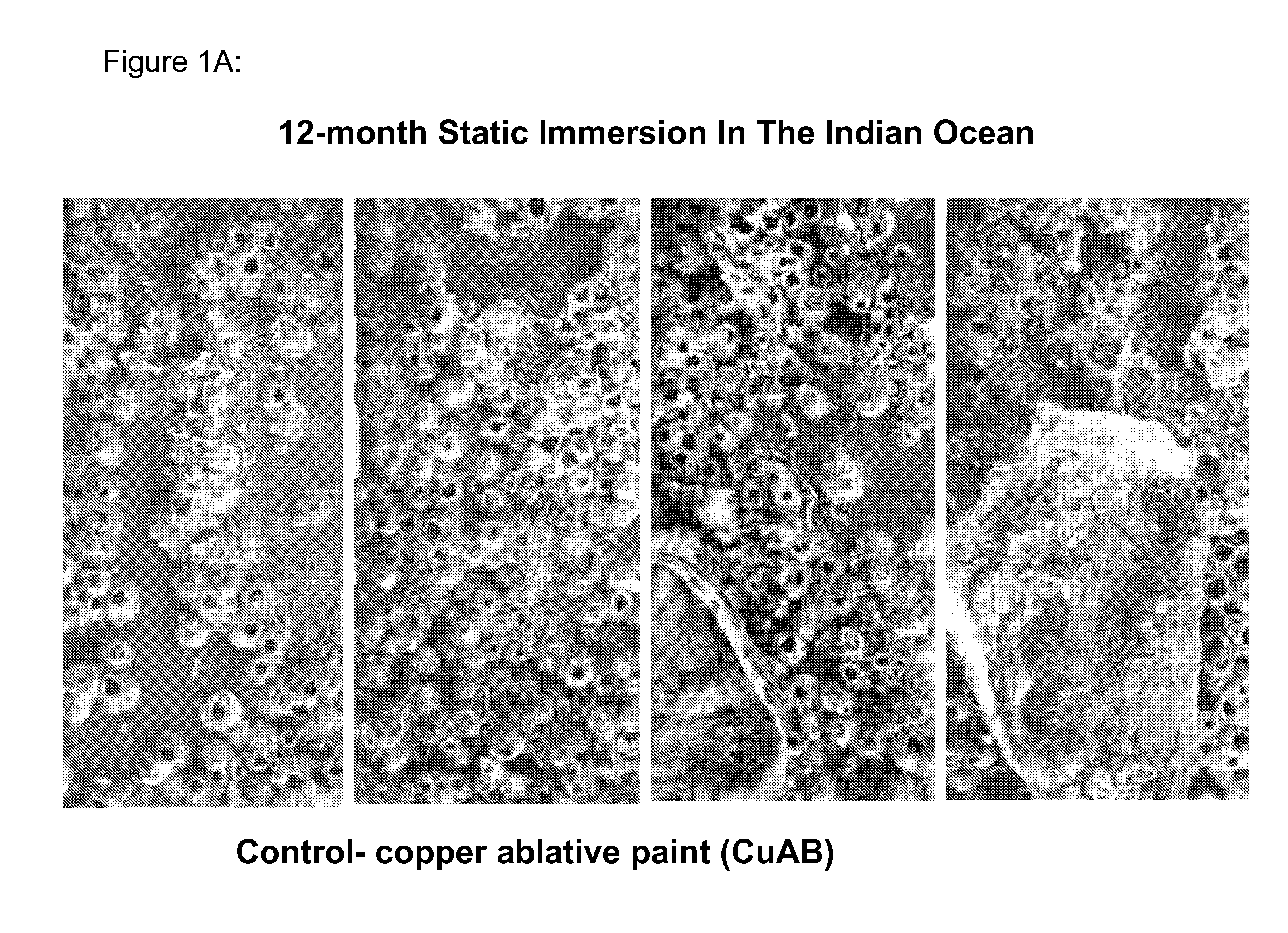 Marine antifouling coating compositions