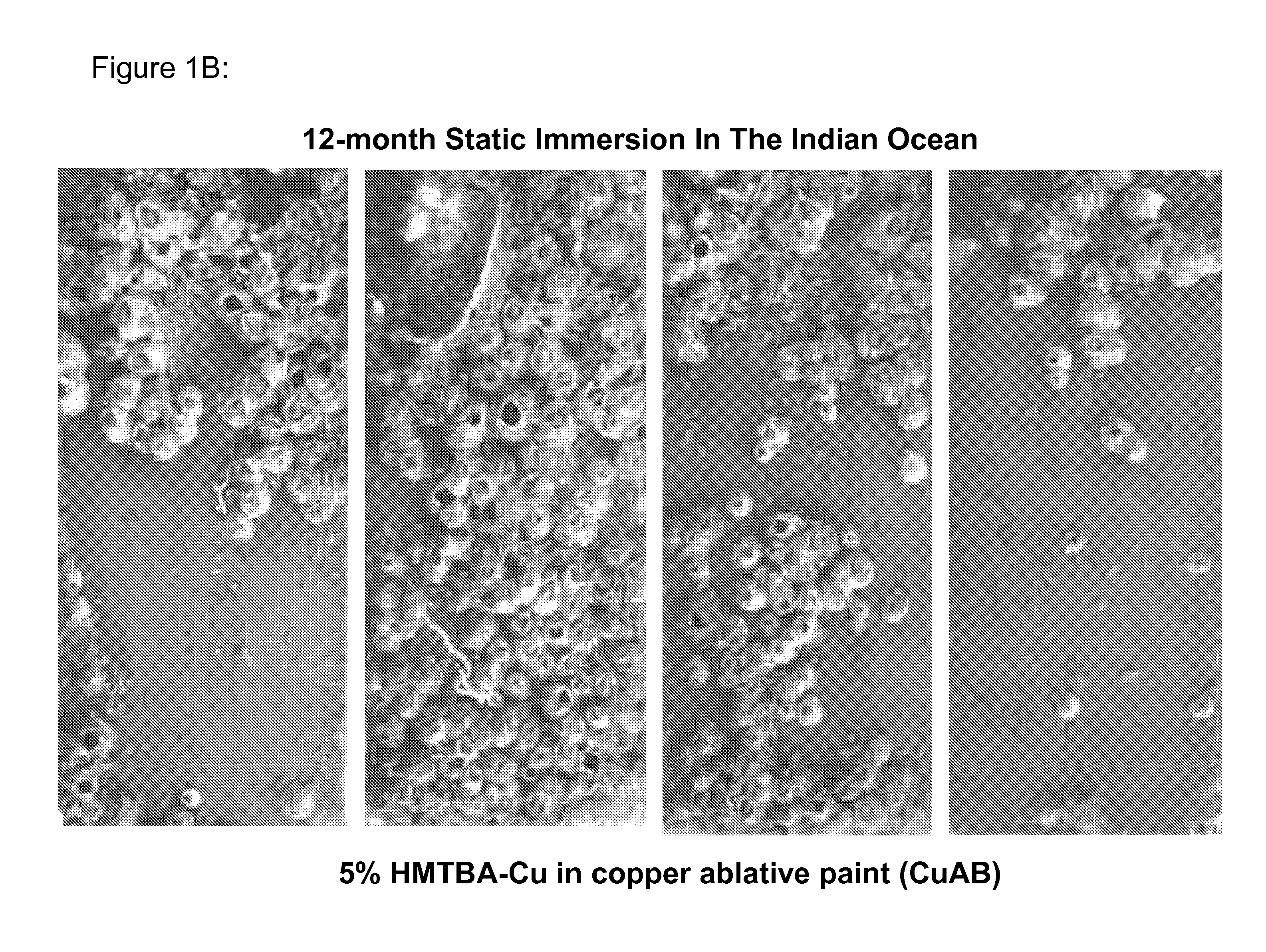 Marine antifouling coating compositions