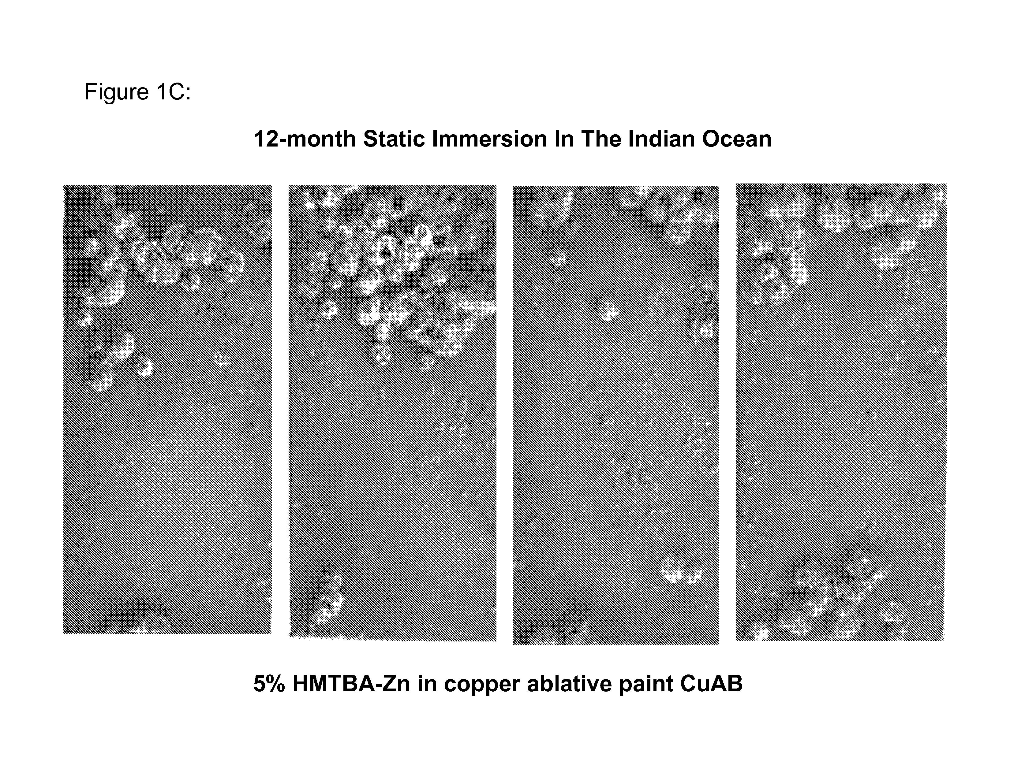 Marine antifouling coating compositions