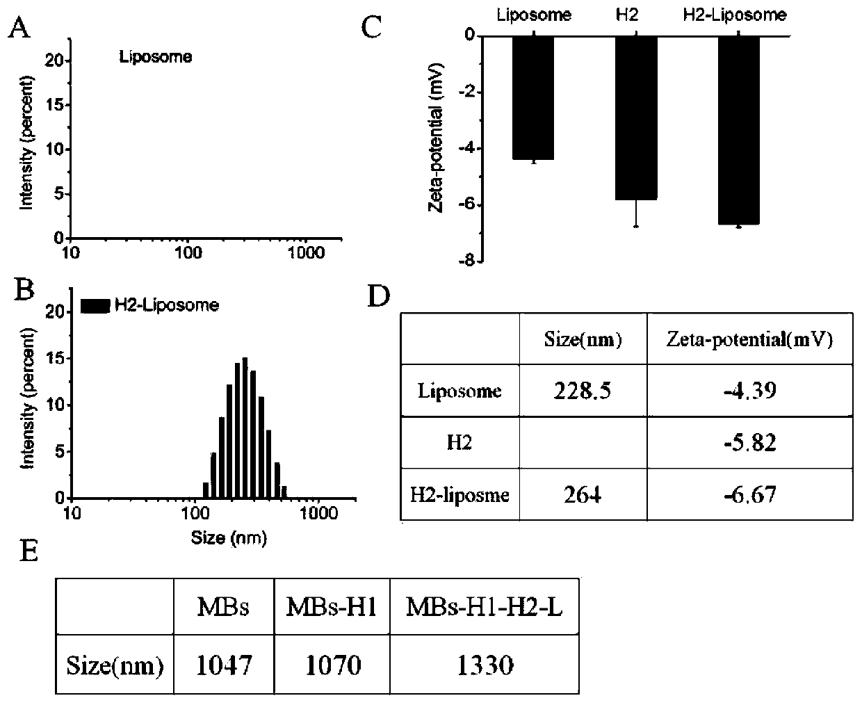 Method for detecting chain B of ricin in real time by using dual amplification strategy of catalytic hairpin assembly mediated lipidosome encoding magnetic beads