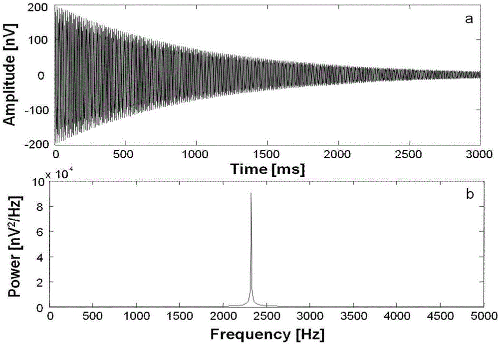 Method for removing peak noise in nuclear magnetism signal