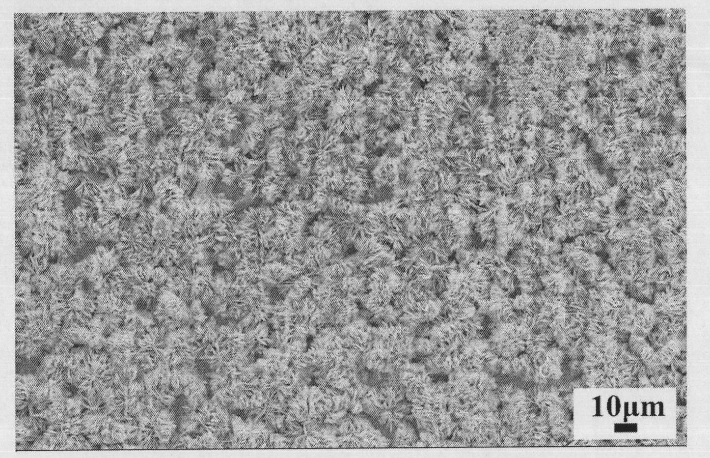 Preparation method of zinc oxide nanometer wafer array with large area and high orientation