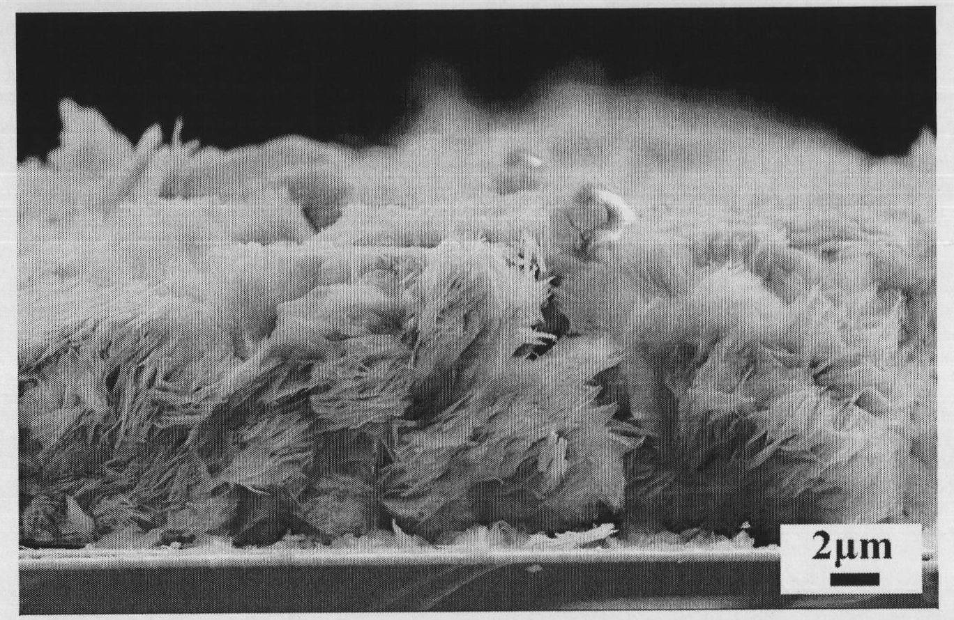 Preparation method of zinc oxide nanometer wafer array with large area and high orientation