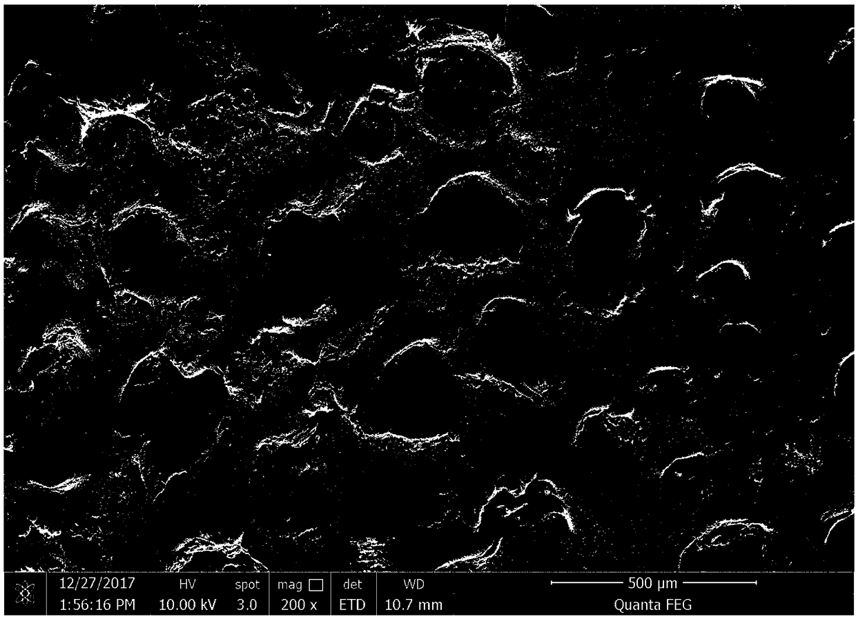 Traditional Chinese medicine silver titanate composite porous material for burn wound healing, preparation method and application