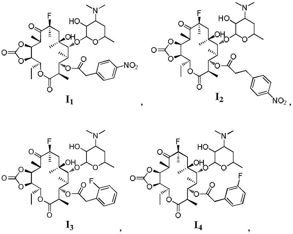 Macrolide antimicrobial compound as well as preparation method and application thereof