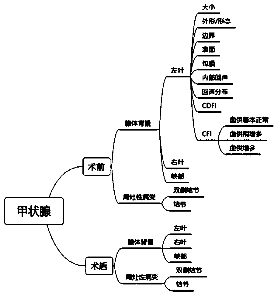 Method for automatically generating ultrasonic report by voice input thyroid ultrasonic anomaly description