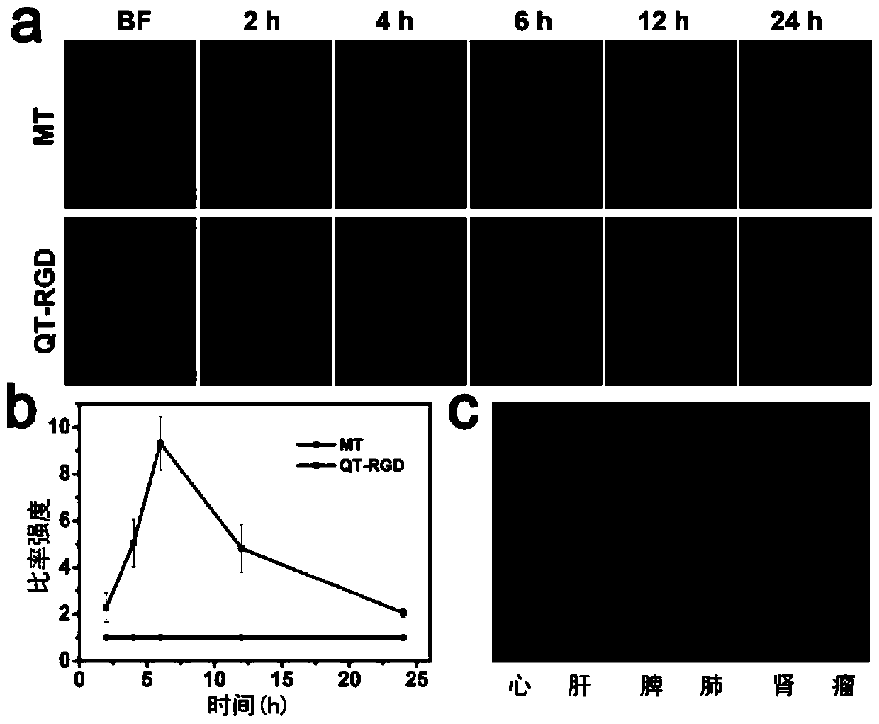 High-stability second near-infrared small-molecule fluorescence probe and production method and application thereof