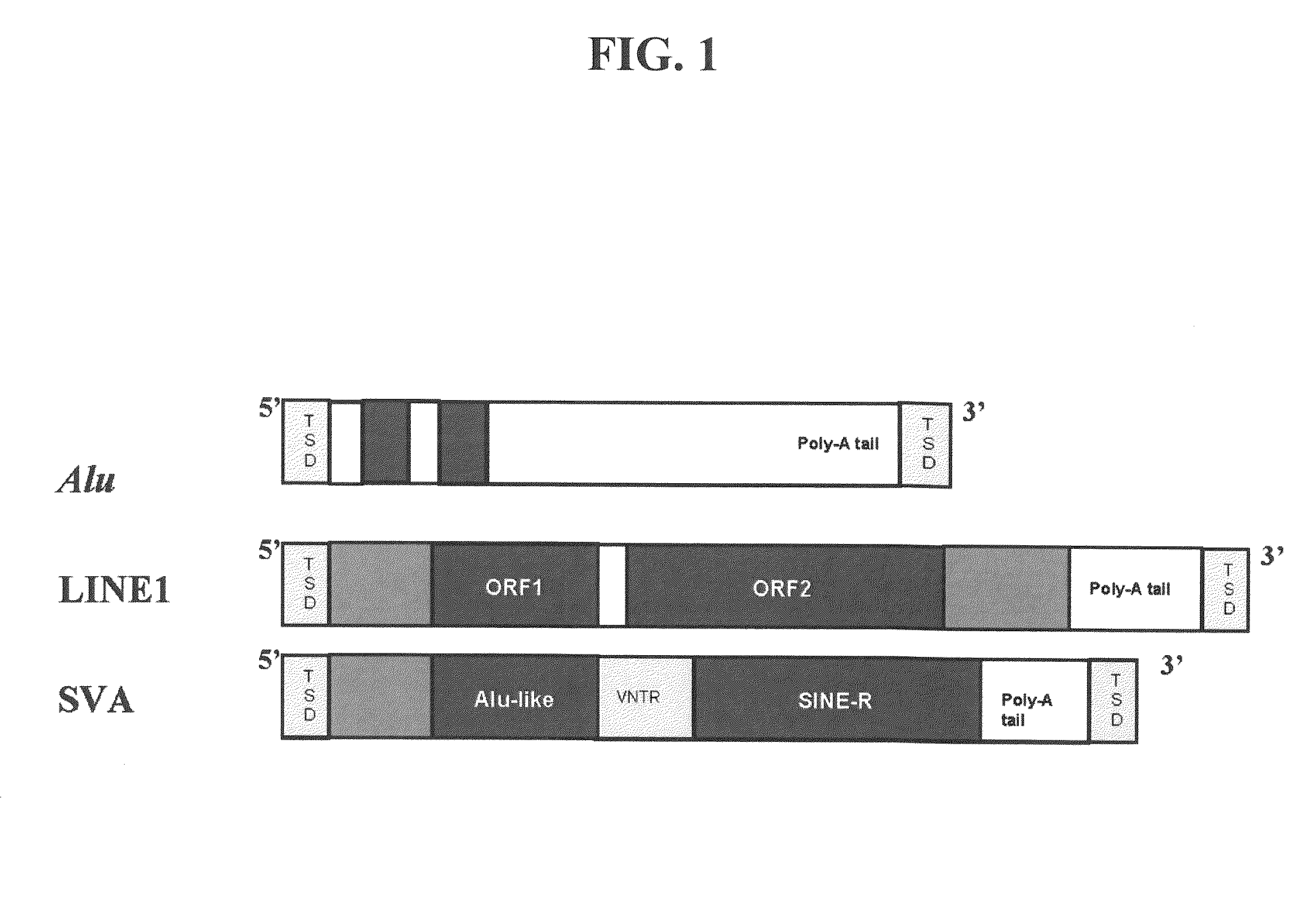 Method for genetic detection using interspersed genetic elements: a multiplexed DNA analysis system