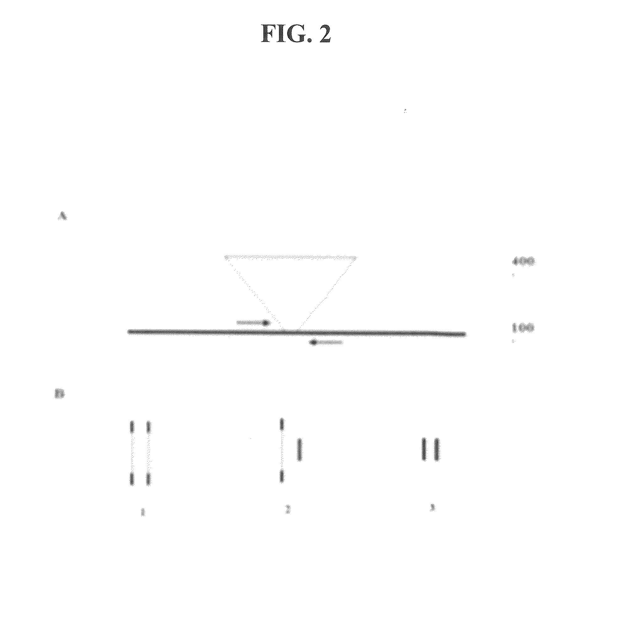 Method for genetic detection using interspersed genetic elements: a multiplexed DNA analysis system