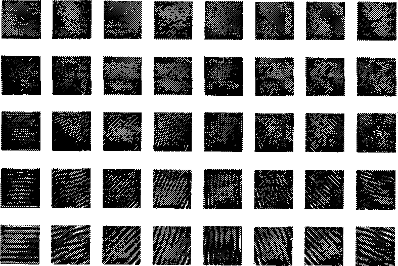 Face gender identification method based on fuzzy support vector machine