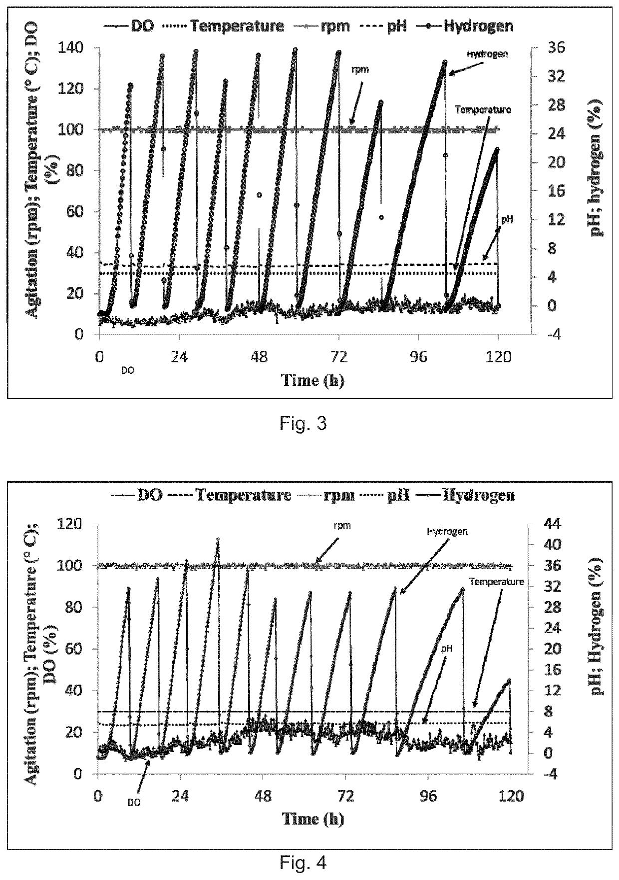 Process for hydrogen production from glycerol