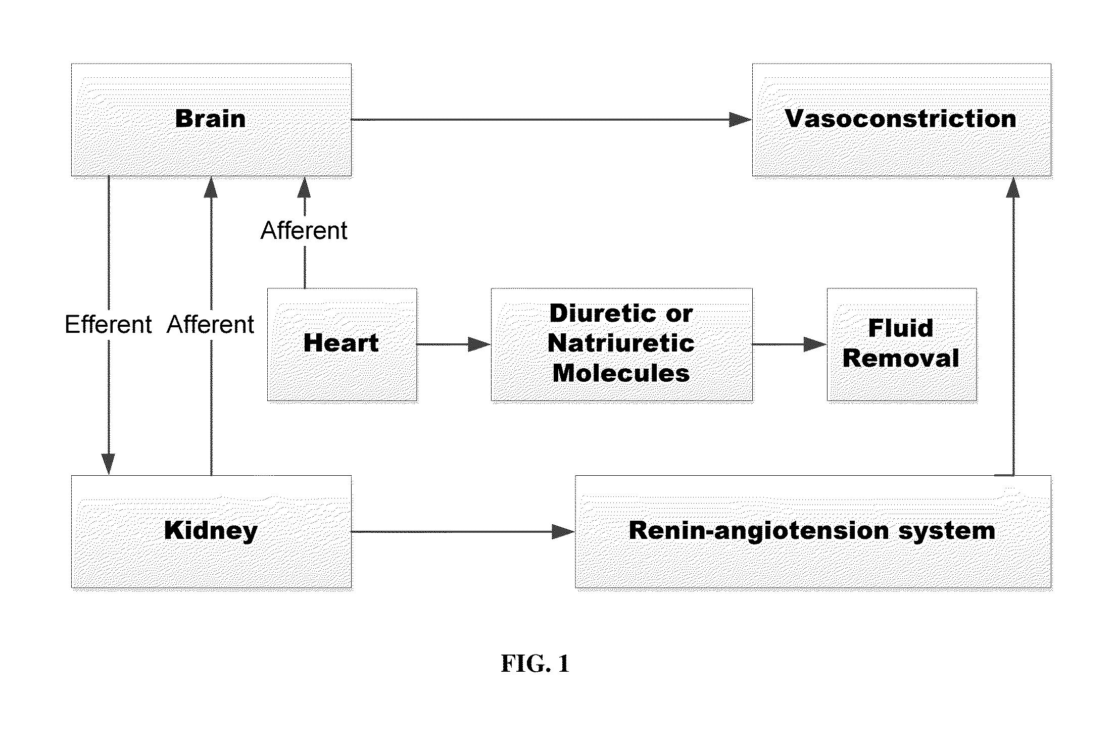 Feedback-based diuretic or natriuretic molecule administration