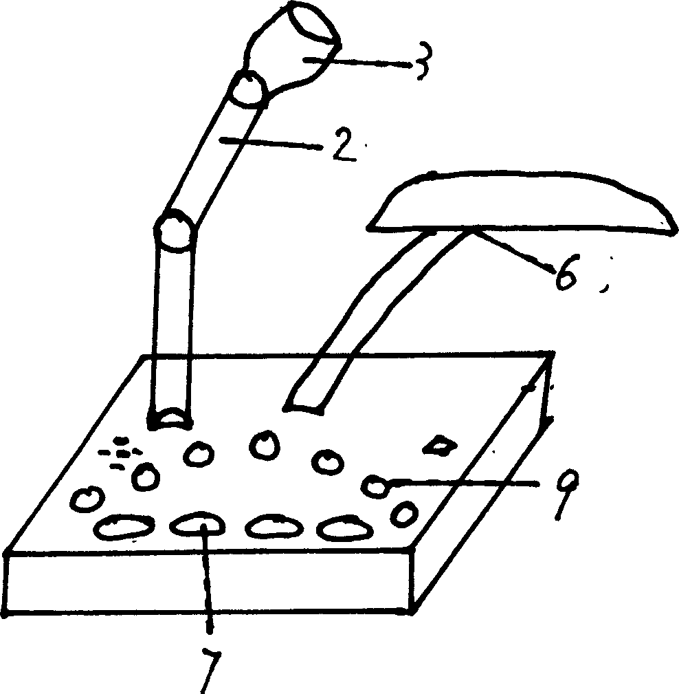 Health care apparatus for students