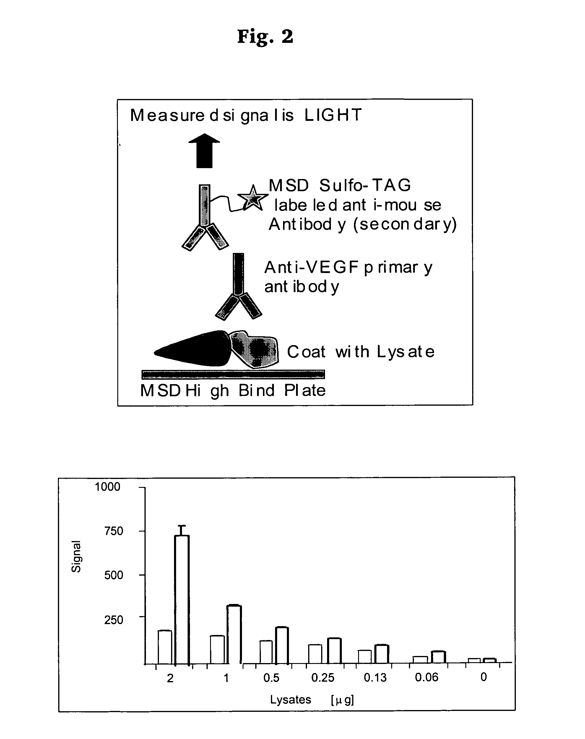 Hypoxia targeted compounds for cancer diagnosis and therapy