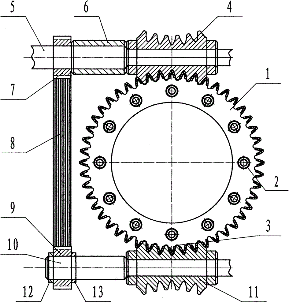 Bearing type precise ball cambered surface envelope worm wheel spoke