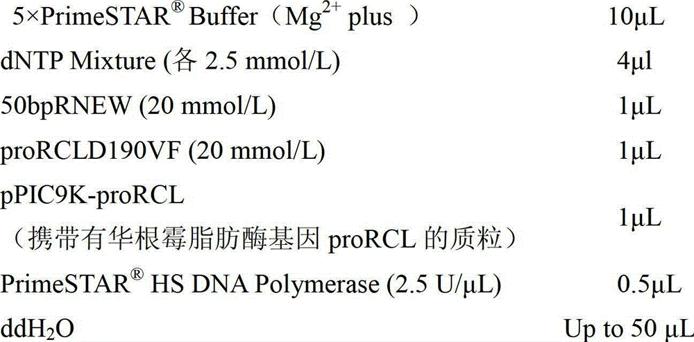 Lipase mutant with increased optimum temperature and application of lipase mutant with increased optimum temperature