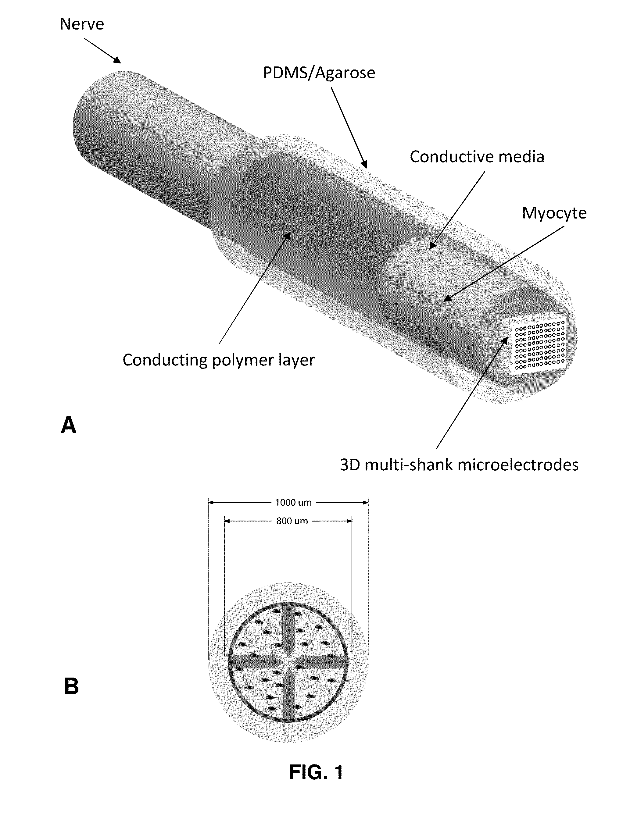 Hybrid bioelectrical interface device