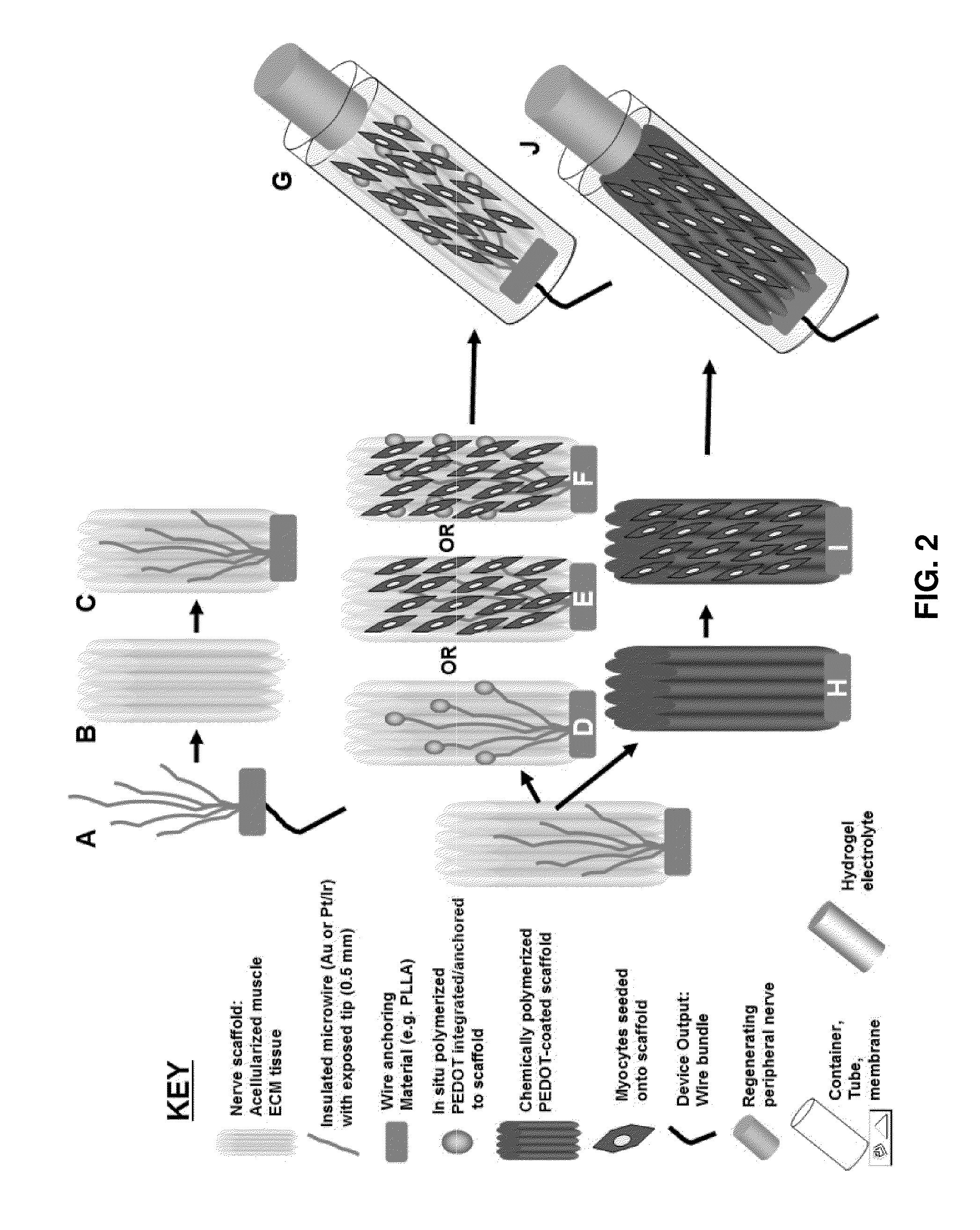 Hybrid bioelectrical interface device