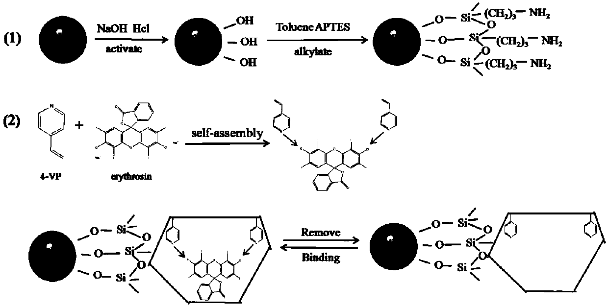 A core-shell molecularly imprinted polymer capable of identifying erythrosine and its preparation method