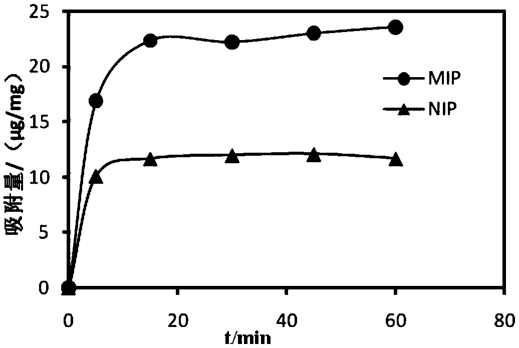 A core-shell molecularly imprinted polymer capable of identifying erythrosine and its preparation method