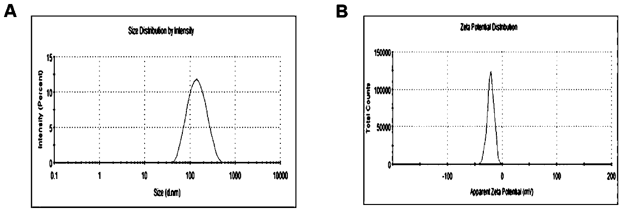 Copper composite based intelligent nanometer material and preparation method and antitumor application thereof