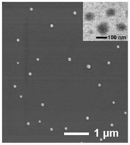 Copper composite based intelligent nanometer material and preparation method and antitumor application thereof