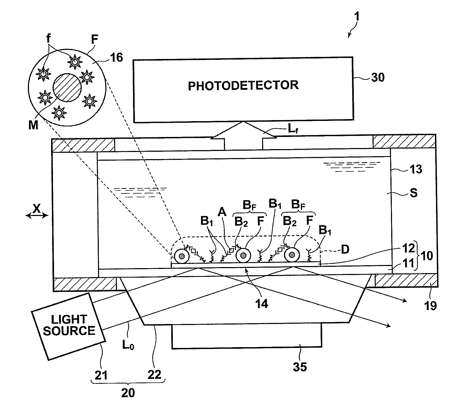 Detection method, detection apparatus, and sample cell and kit for detection