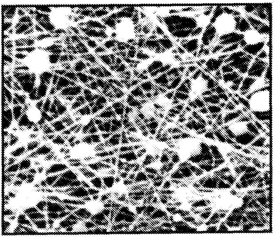 Ultrporous nanofiber mats and uses thereof