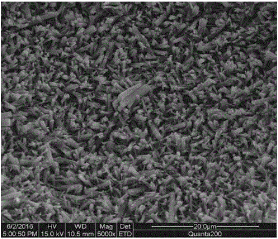 Non-autoclaved high-strength alkali-activated aerated concrete and preparation method and application thereof