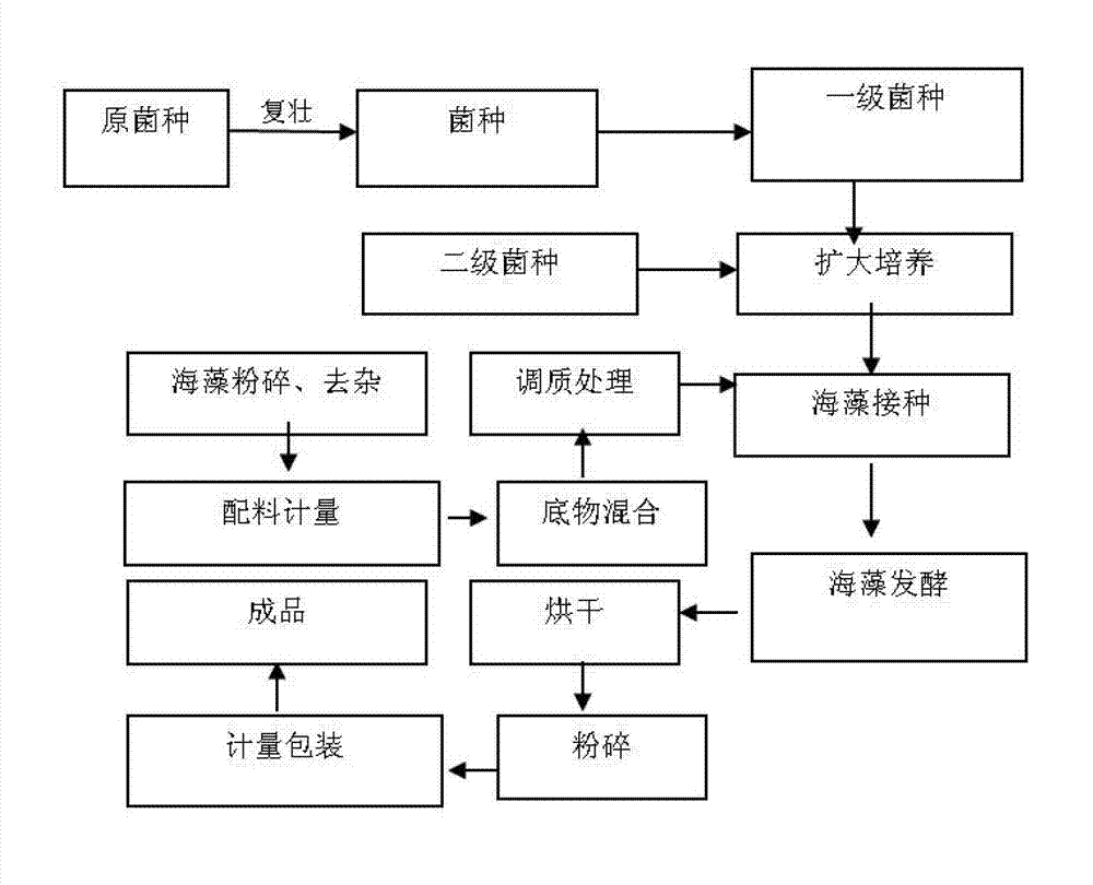 Algal biological feed and preparation method thereof