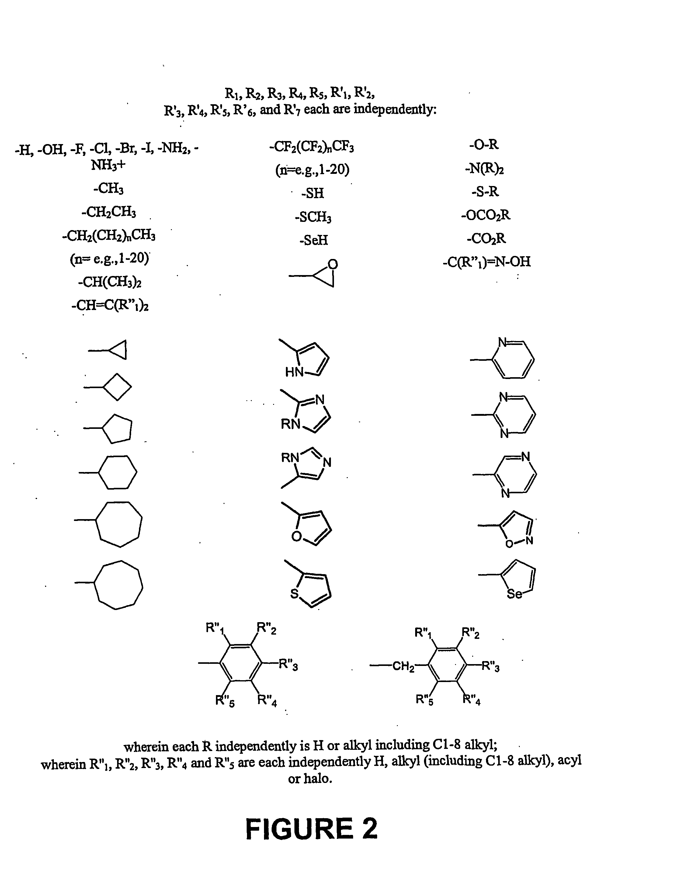 Honokiol Derivates For the Treatment of Proliferative Disorders